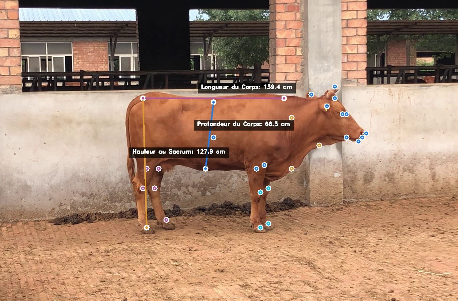 Smart Measurements Detection